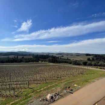 Willamette Valley Vineyards - Driveway up - Wineries Near Me - Turner, Oregon Willamette Valley Vineyards - Driveway up - Wineries Near Me - Turner, Oregon