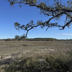 Pinckney Island National Wildlife Refuge