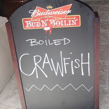 Shuck 'N Dive - Special of the day - Cajun/Creole Near Me - Fort Lauderdale, Florida