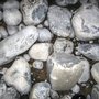 Photo of Cold Knap Beach
