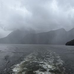 Milford Sound Cruises