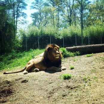 Birmingham Zoo - Zoos Near Me - Birmingham, Alabama