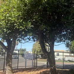 Stein Dermatology - Outside view.