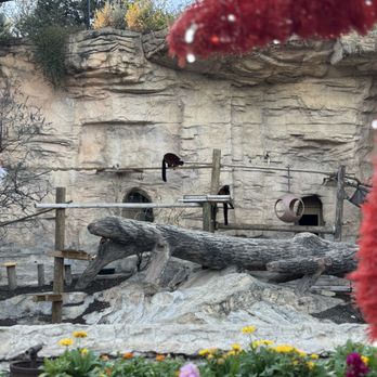 San Antonio Zoo - Zoos Near Me - San Antonio, Texas