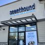Photo of Scenthound Meridian