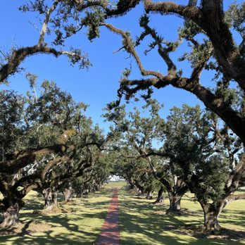 N'awlins Luxury Tours - Tours Near Me N'awlins Luxury Tours - Tours Near Me