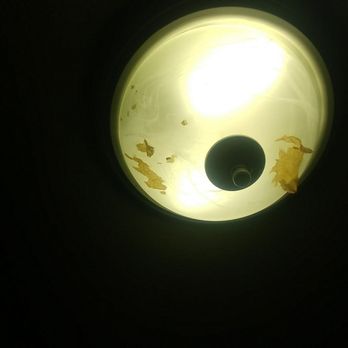 Royal Inn &  Suites - WTF IS THAT. NO SLEEP TONIGHT. - Hotels Near Me - Hemet, California