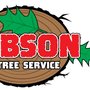 Photo of Gibson Tree Service