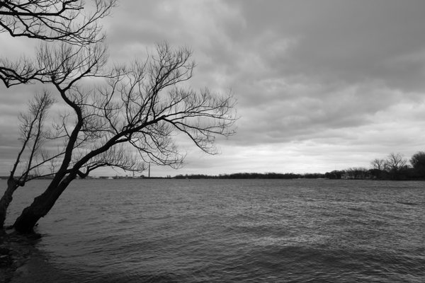 Toronto Island Park Olympic Island by null