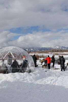 Backcountry Safaris by null