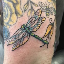 Black Sheep Tattoo - Dragonfly
