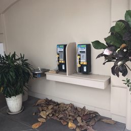 Their pager friendly with payphones