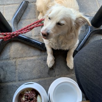 Bear Street Tavern - My dog was upset waiting for me to take this picture. Hehe - Pizza Near Me - Banff, Alberta