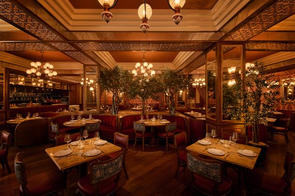 Mother Wolf by null Mother Wolf by null