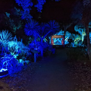 Lightscape San Diego - Botanical Gardens Near Me - Encinitas, California