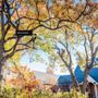 Photo of Salas Tree Service