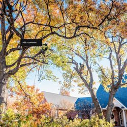 Salas Tree Service