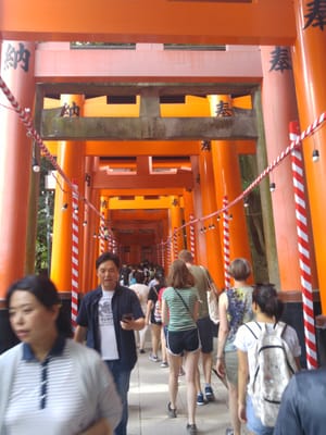 Senbon Torii (Thousand Torii Gates) by null