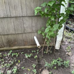 Ark General Construction - They installed a sump pump, unfortunately the discharge dumps water right back onto my foundation.