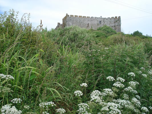 Manorbier Castle by null
