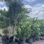 Photo of Farm Networks LLC