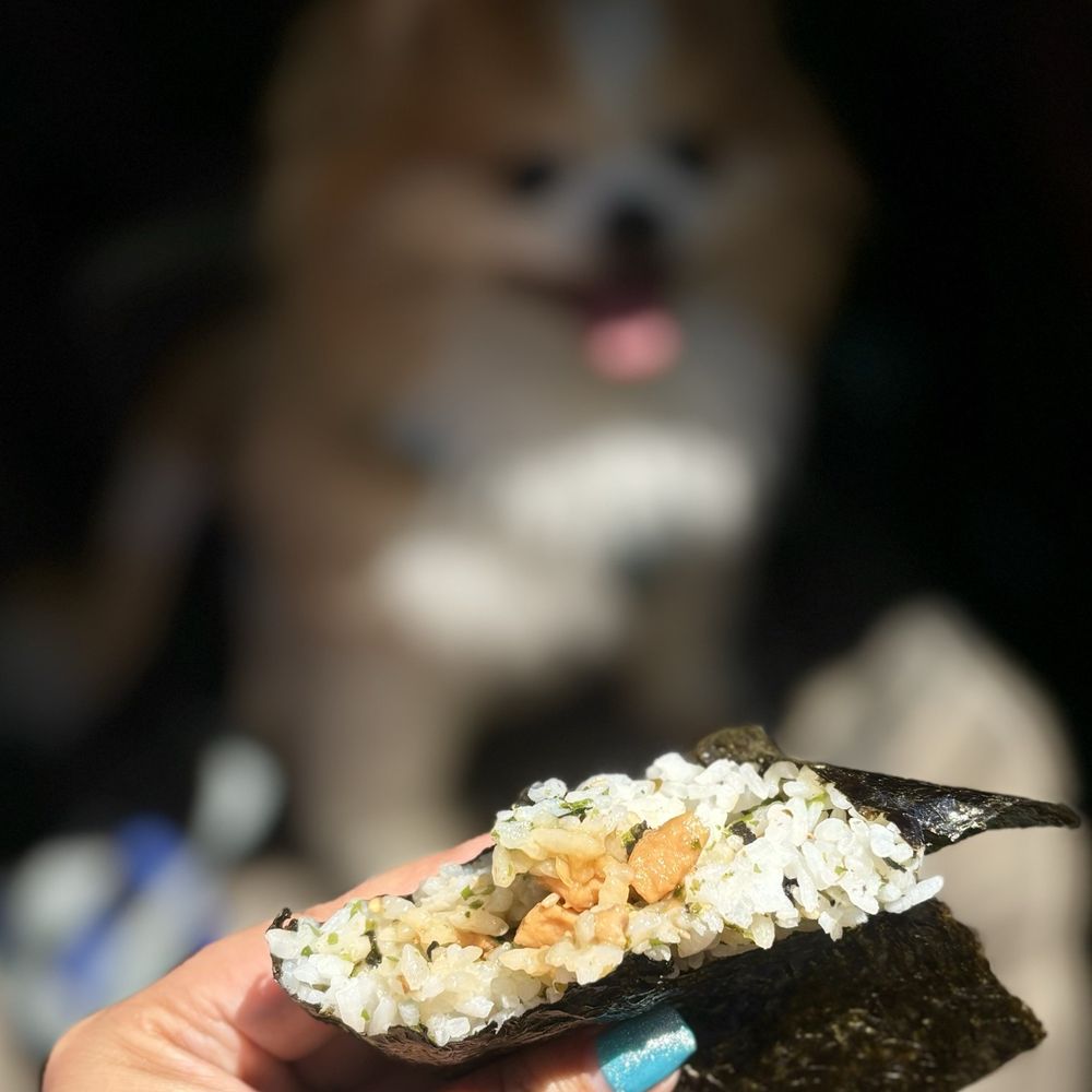 Do-Re-Mi - Taiwanese Pork Onigiri ($3.80) - Asian Fusion Near Me - San Francisco, California Do-Re-Mi - Taiwanese Pork Onigiri ($3.80) - Asian Fusion Near Me - San Francisco, California
