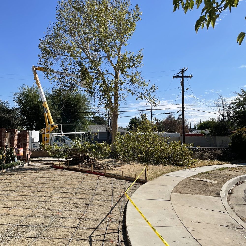Expert Tree Service - Tree removal - Tree Services Near Me - Palmdale, California Expert Tree Service - Tree removal - Tree Services Near Me - Palmdale, California