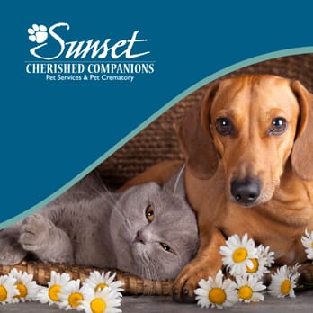 cherished companions pet crematory