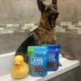 Photo of Barking Dogs Self-Wash & Grooming - Centennial Hills