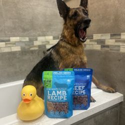 Barking Dogs Self-Wash & Grooming - Centennial Hills