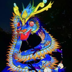 China Lights Wisconsin