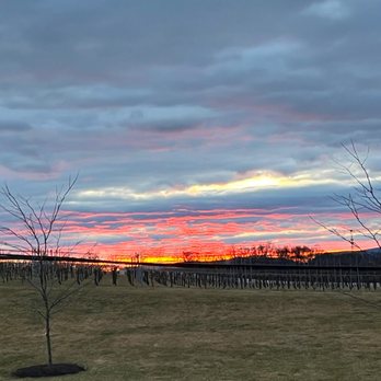 Folino Estate Winery - Sunset overlooking Folino Estate vineyards. - Italian Near Me - Kutztown, Pennsylvania
