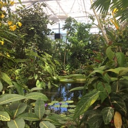 Les Jardins Suspendus - La serre tropicale