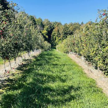 Beak & Skiff Apple Orchards - Distilleries Near Me - Lafayette, New York Beak & Skiff Apple Orchards - Distilleries Near Me - Lafayette, New York