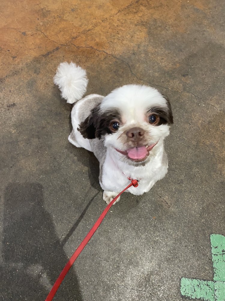 Pawtrero Hill BathHouse & Feed