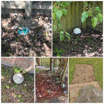 Advantage Property Management - Trash in backyard (Bottom right photo is a rug that was left in the yard for so long it started sprouting grass). - Property Management Near Me - Memphis, Tennessee