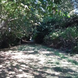 Crown Park - Shaded trail