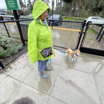 Golden Gate Dog Park - Woman who attacked us in the park - Dog Parks Near Me - San Francisco, California Golden Gate Dog Park - Woman who attacked us in the park - Dog Parks Near Me - San Francisco, California