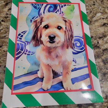 Hot Diggity Dog Resort - Pet Training Near Me - Escondido, California