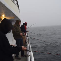 Yellow Bird Fishing