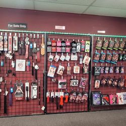 Nt Lingerie & DVD & Gifts