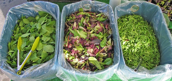 Downtown Oxnard Farmers Market by null
