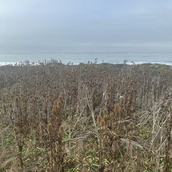 Sea Otter Inn - Enjoying the view - Hotels Near Me - Cambria, California Sea Otter Inn - Enjoying the view - Hotels Near Me - Cambria, California