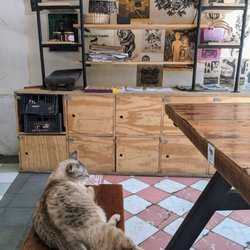 Comalli Cooperativa - Came with free dining partner