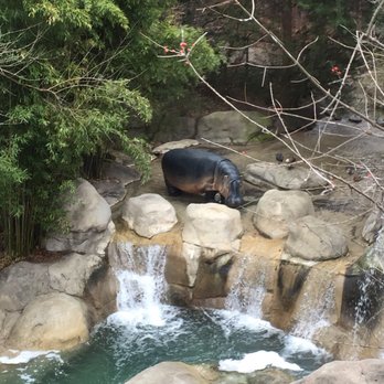Dallas Zoo - Zoos Near Me - Dallas, Texas Dallas Zoo - Zoos Near Me - Dallas, Texas