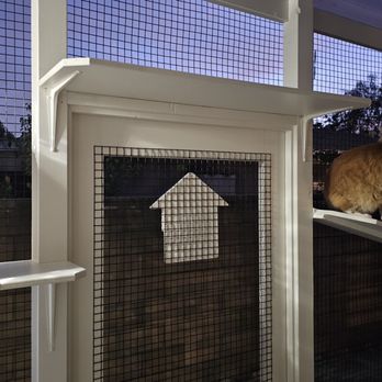 Catio Guy - Pet Services Near Me Catio Guy - Pet Services Near Me
