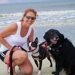 East Paws Pet Services