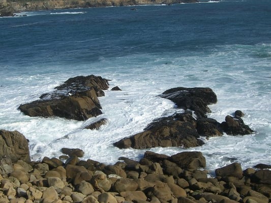 Salt Point State Park by null