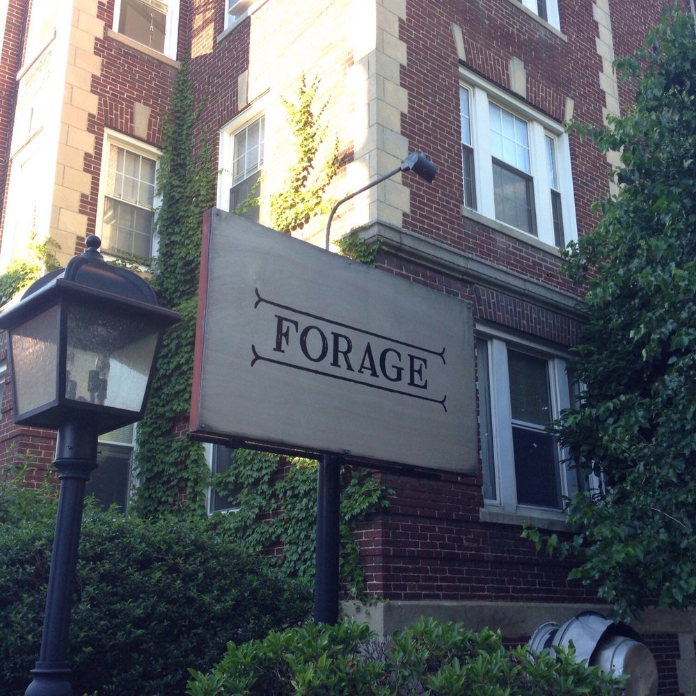 Forage - Wine Bars Near Me - Cambridge, Massachusetts Forage - Wine Bars Near Me - Cambridge, Massachusetts