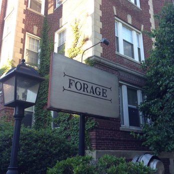 Forage - Wine Bars Near Me - Cambridge, Massachusetts